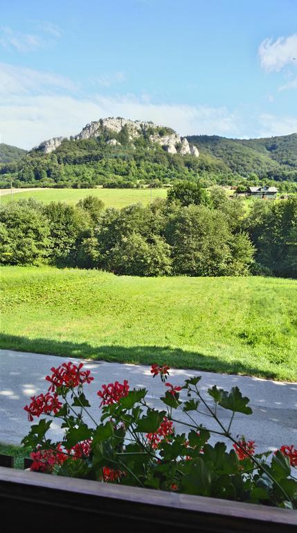 Penzion Manin Považská Bystrica Extérieur photo
